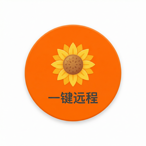 品牌 - 向日葵远程控制软件API安全网关介绍